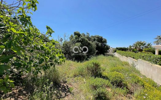 Urban Plot in Montinhos da Luz