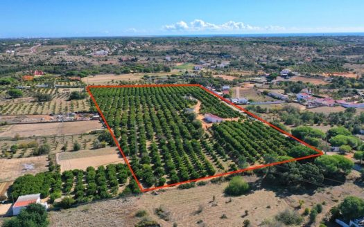 PROJECT OPPORTUNITY ON THE OUTSKIRTS OF FONTA SANTA.