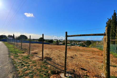 Urban Plot in Ferrel