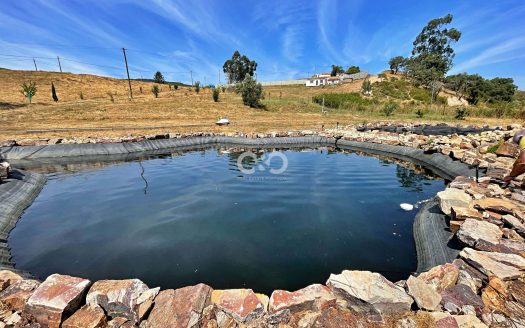 Grundstück im Alentejo mit 11.320 m²