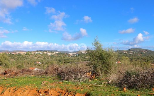 Construir que sua própria casa-Ideal de luxo parcelas com planejamento de estrutura de tópicos