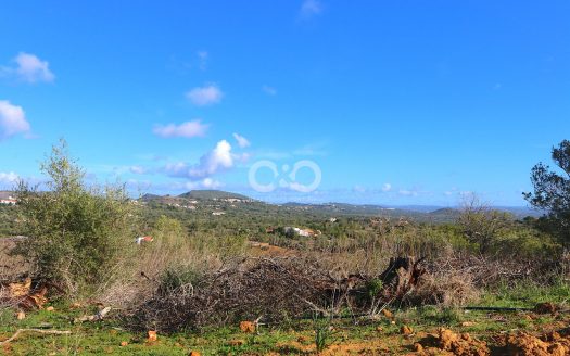 Construir que sua própria casa-Ideal de luxo parcelas com planejamento de estrutura de tópicos