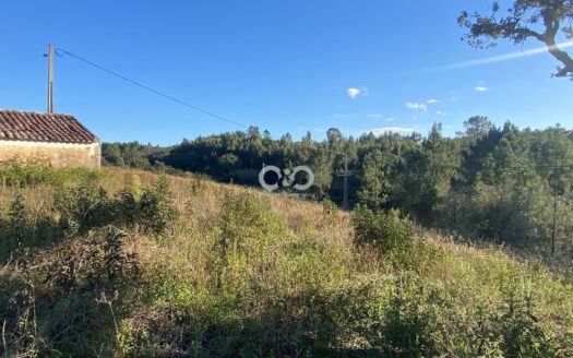 2.2 hectare farm located in a quiet area close to the beautiful villages of São Teotónio