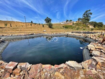 Maravilhoso terreno com 11.320 m² em Saboia