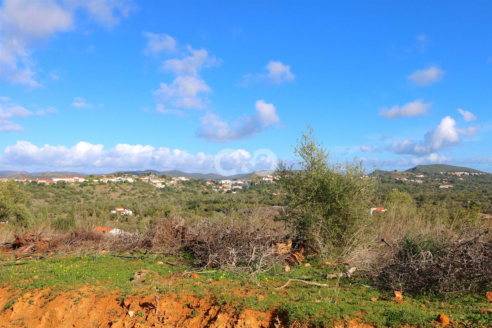 INVESTMENT OF 6 BUILDING PLOTS