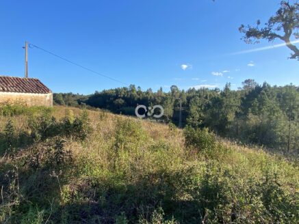 Propriedade de 2,2 hectares com ruína para recuperar em Relva Grande, São Teotónio