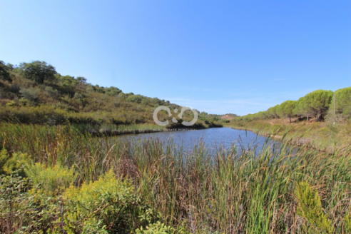 Large countryside plot consisting of 217 Hectares(538 acres) and  urban land of 4835m2