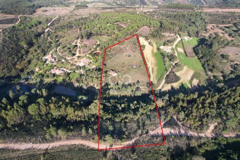 2.2 hectare farm located in a quiet area close to the beautiful villages of São Teotónio