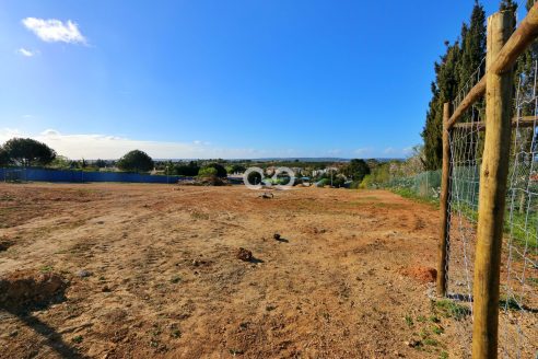 Urban Plot in Ferrel