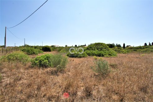 LARGE URBAN PLOT, BARÃO SÃO MIGUEL.